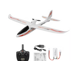 WLTOYS F959S Sky-King 2.4G 3CH 6-Axis RTF RC Glider Airplane India